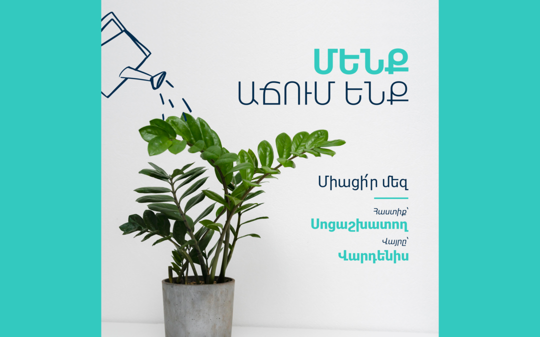 Փնտրում ենք սոցիալական աշխատող